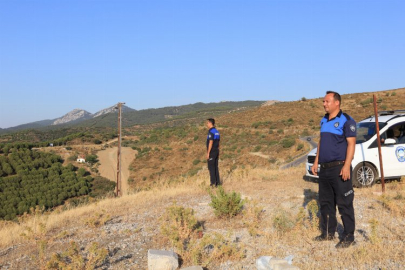 İzmir Güzelbahçe'de orman nöbeti